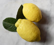 Amalfi Lemons